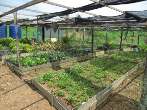 Agriculture Training