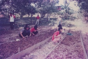 Agriculture Training