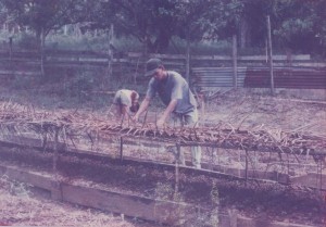 Agriculture Training