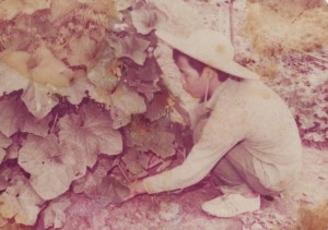 Agriculture Training