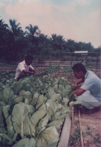 Agriculture Training
