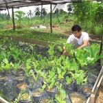 Agriculture Training