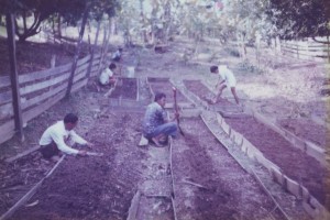 Agriculture Training