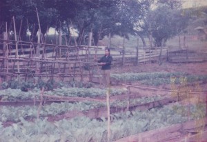 Agriculture Training