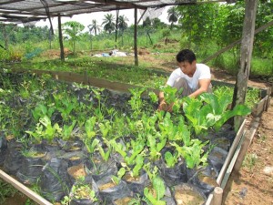 Agriculture Training