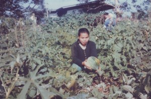 Agriculture Training