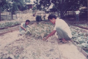 Agriculture Training
