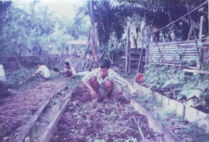 Agriculture Training