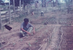 Agriculture Training