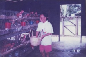 Learning To Rear Chicken