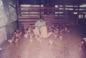 Learning To Rear Chicken