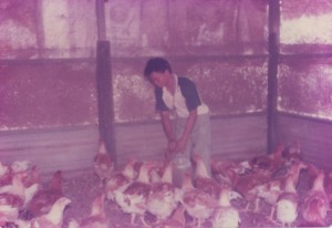 Learning To Rear Chicken