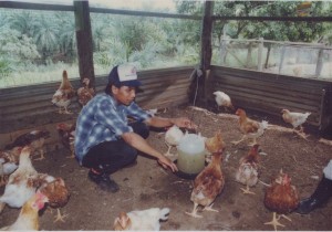 Learning To Rear Chicken