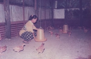 Learning To Rear Chicken