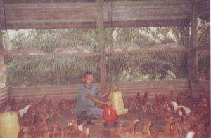 Learning To Rear Chicken